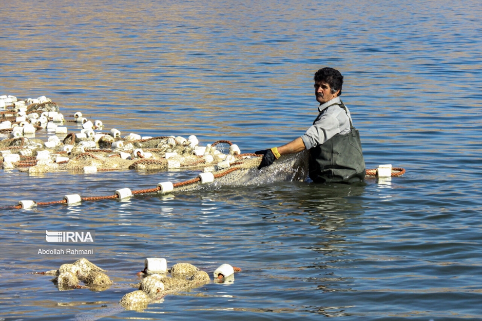  ماهیگیری در سَد