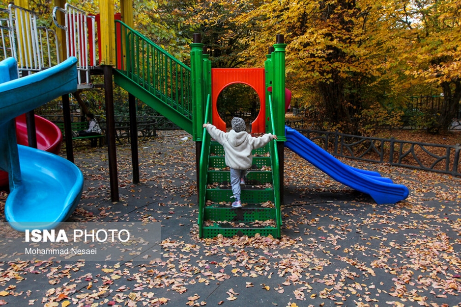 پاییز هزار رنگ در جنگل «النگدره»
