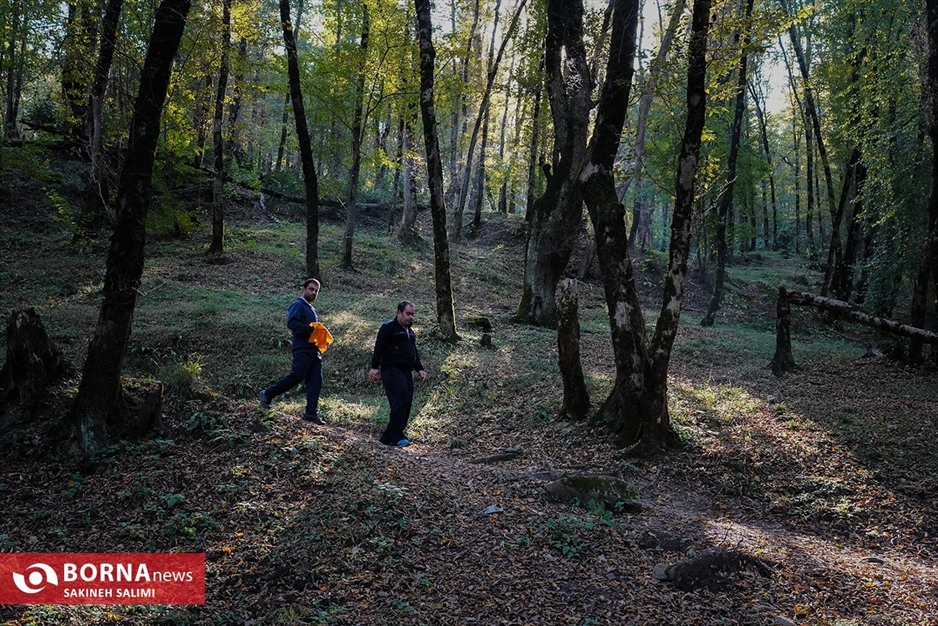 پارک جنگلی ناهارخوران