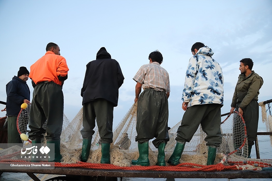 تور صیادان به درخت می خورد!