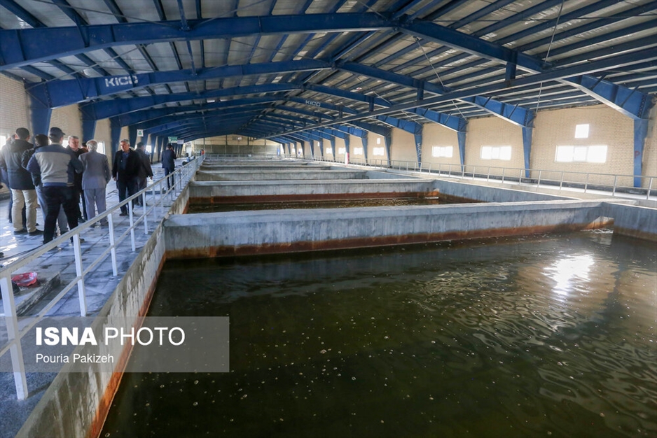 بازدید خبرنگاران از تصفیه خانه شیخی جان - همدان