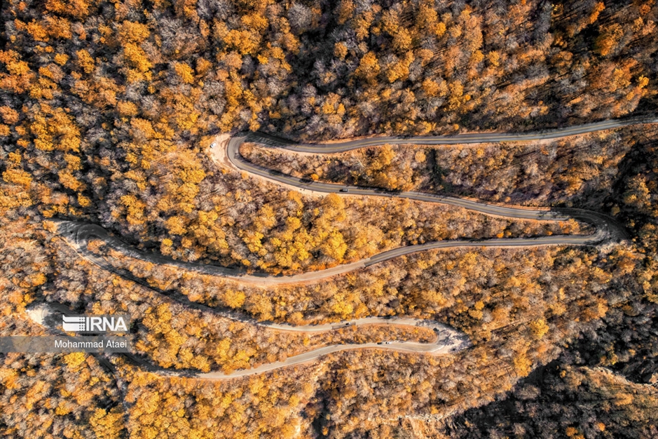 پاییز در جنگل های هیرکانی