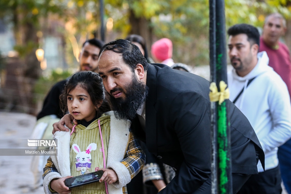 انتقال شیرهای سفید به باغ وحش