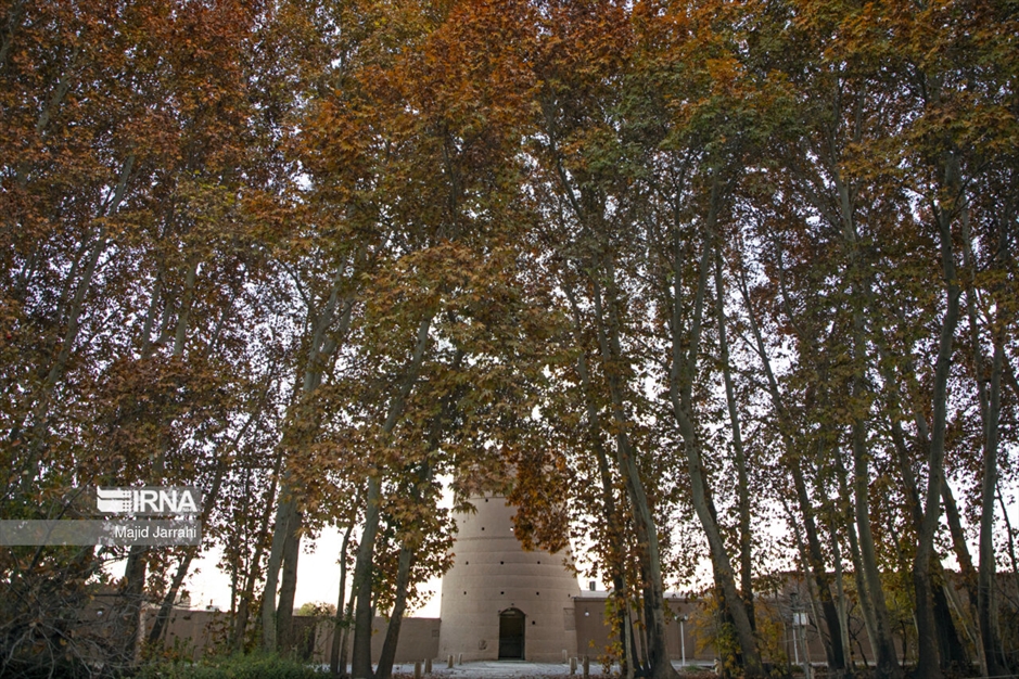 پاییز باغ پهلوان پور