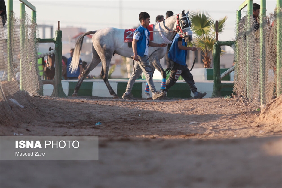دهمین هفته کورس پاییزه اسب دوانی یزد