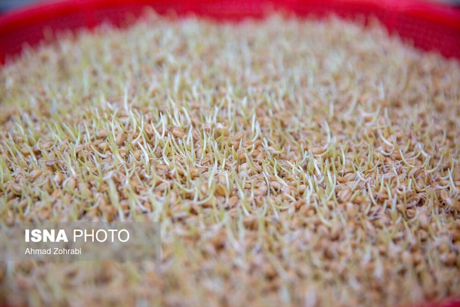 سمنو" نذر فاطمیه