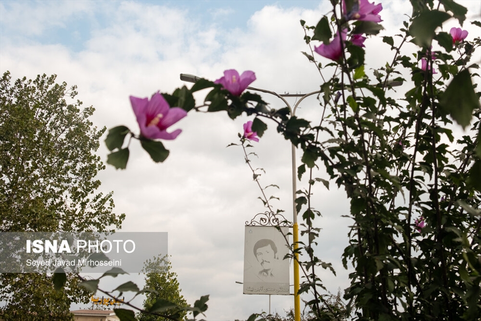 تماشاخانه‌ای برای یک عکس
