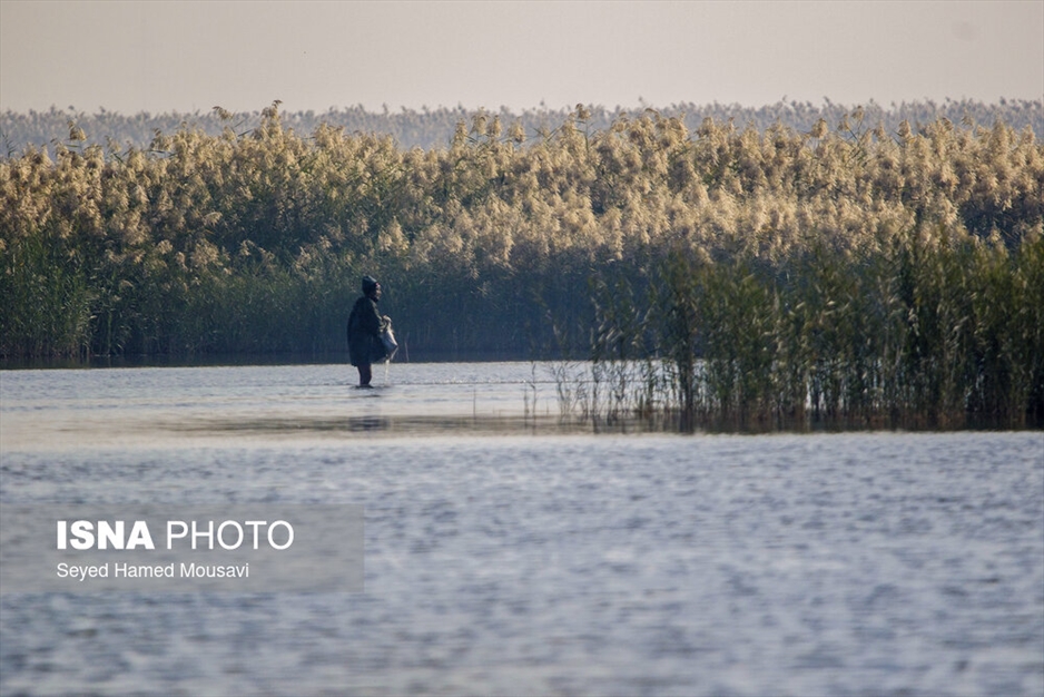 نگهبانان تالاب
