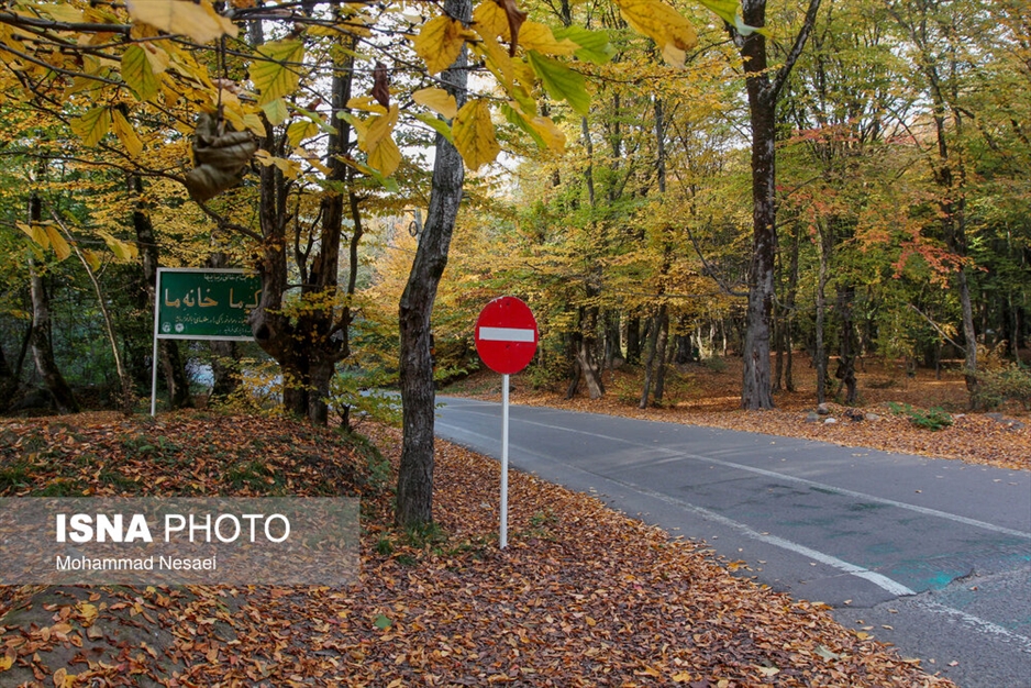 پاییز هزار رنگ در جنگل «النگدره»