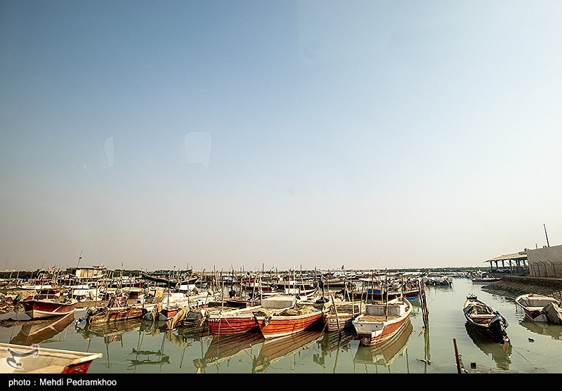 بندر امام خمینی(ره) بزرگترین بندر غلات کشور