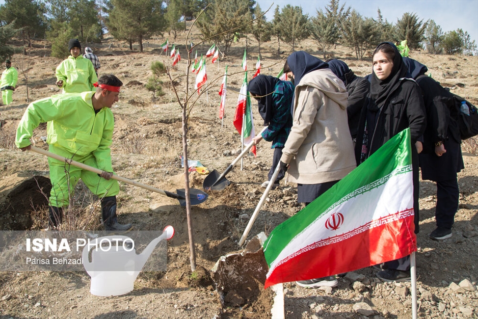 کاشت پنج هزار نهال به یاد کودکان و زنان شهید غزه