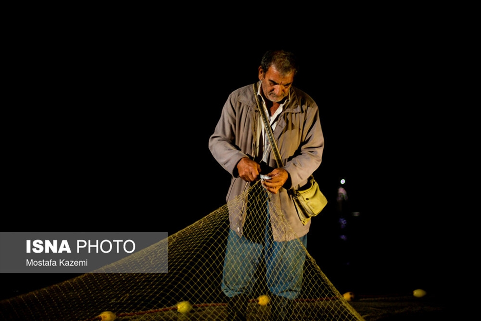صید شبانه ماهی