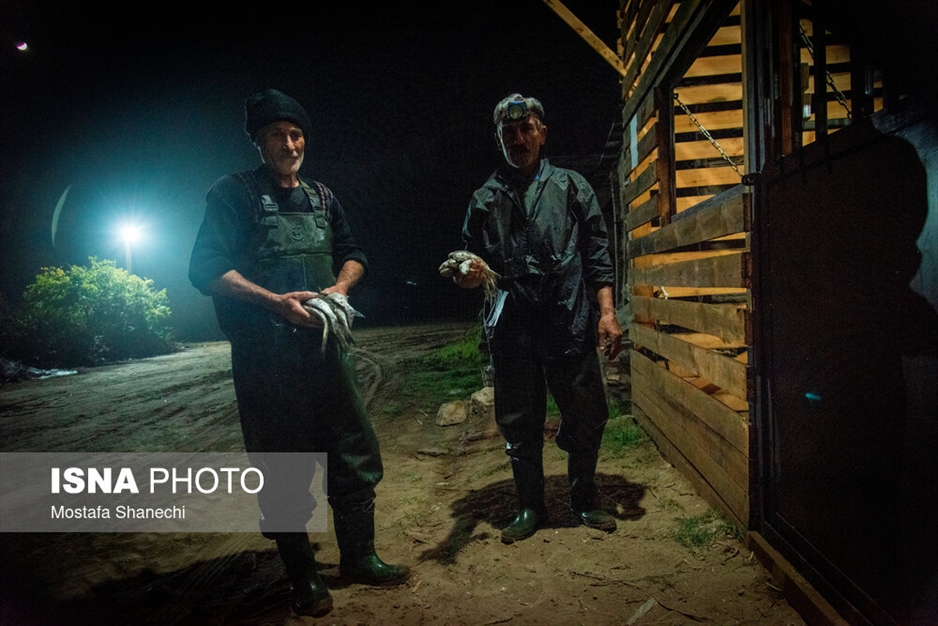 صید شبانه ماهی