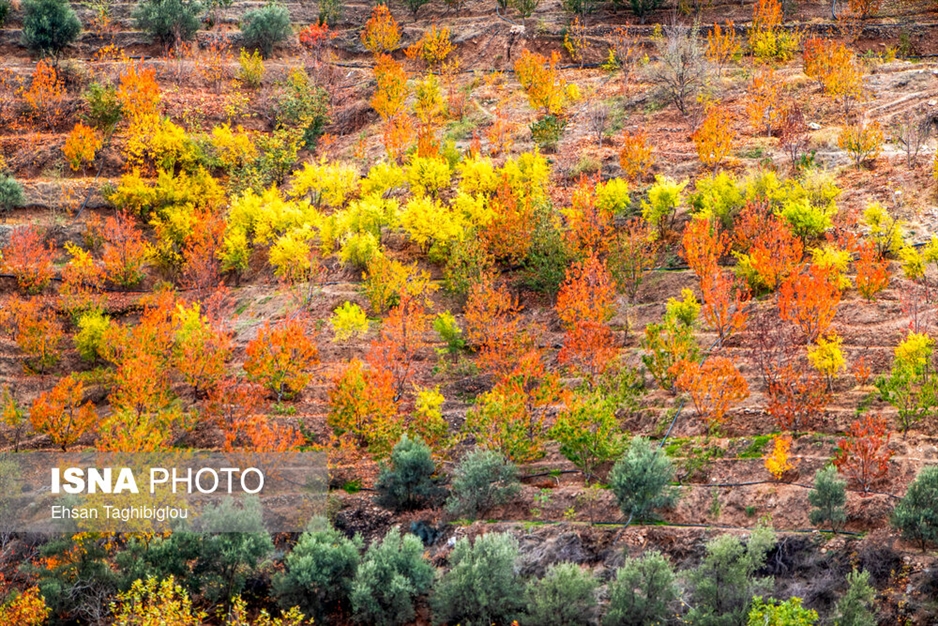 پاییز هزار رنگ در روستای «شیت»