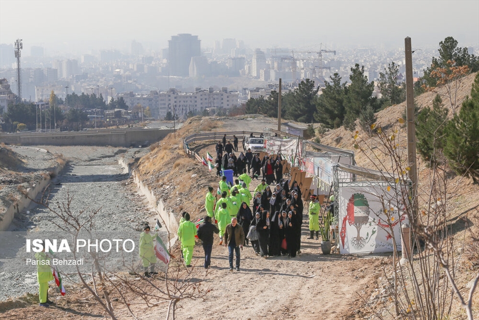 کاشت پنج هزار نهال به یاد کودکان و زنان شهید غزه