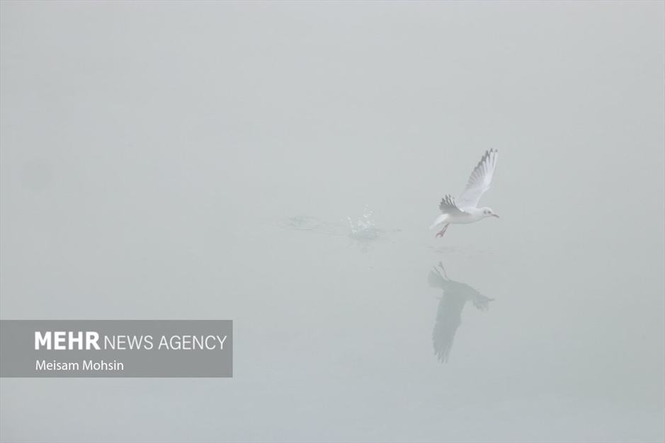 مه صبحگاهی در آبادان و خرمشهر