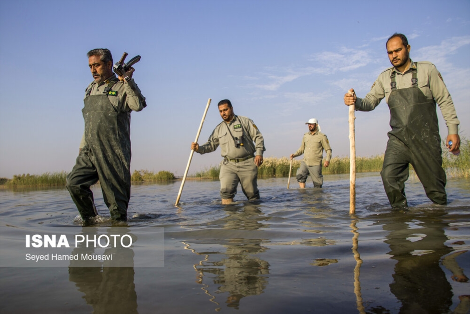 نگهبانان تالاب