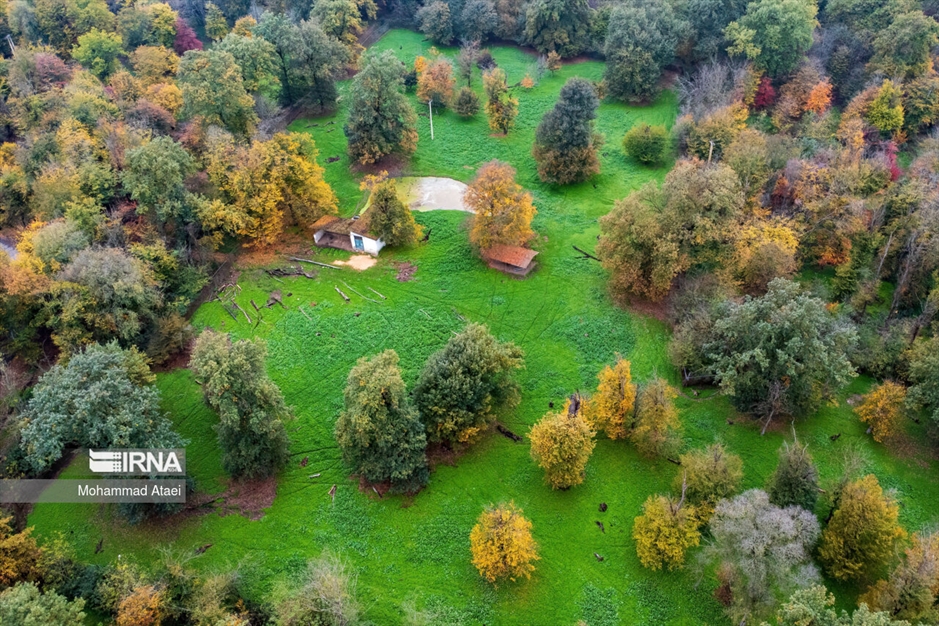 پاییز در جنگل های هیرکانی