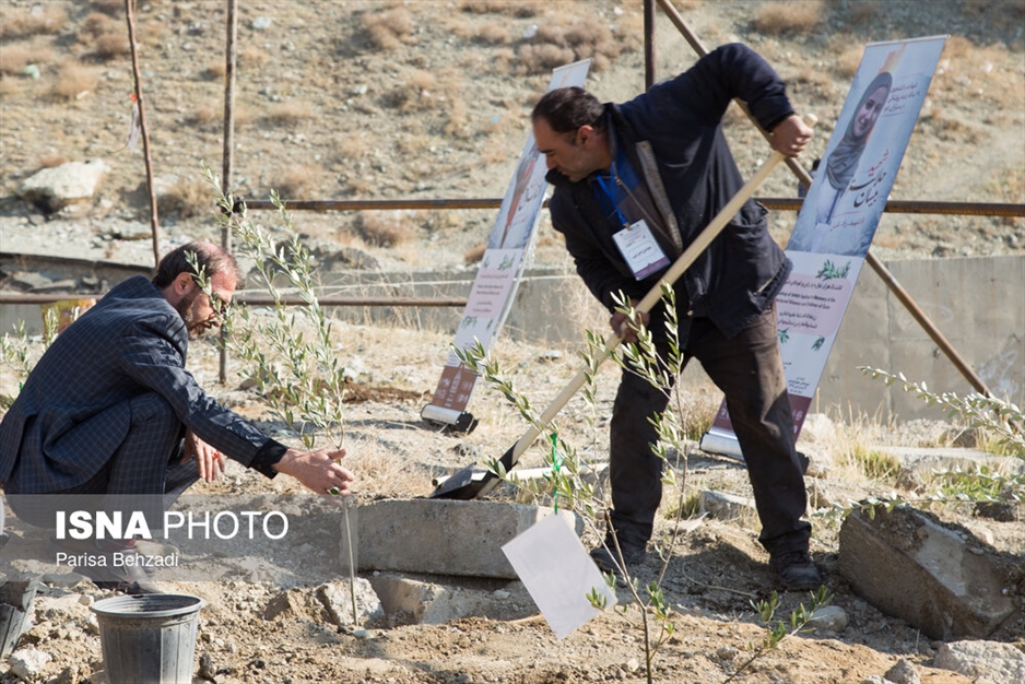 کاشت پنج هزار نهال به یاد کودکان و زنان شهید غزه