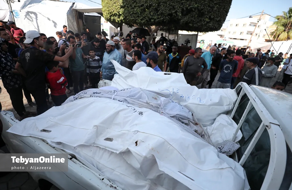 این بدن‌های پاره‌پاره انسان بودند