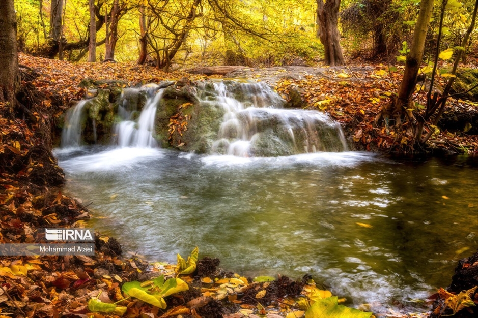 پاییز در جنگل های هیرکانی