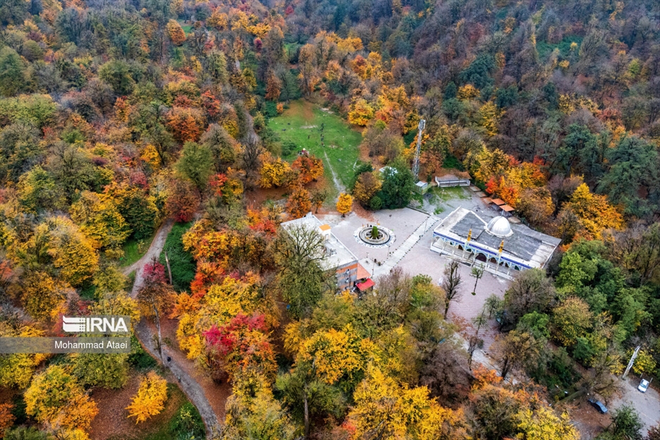 پاییز در جنگل های هیرکانی