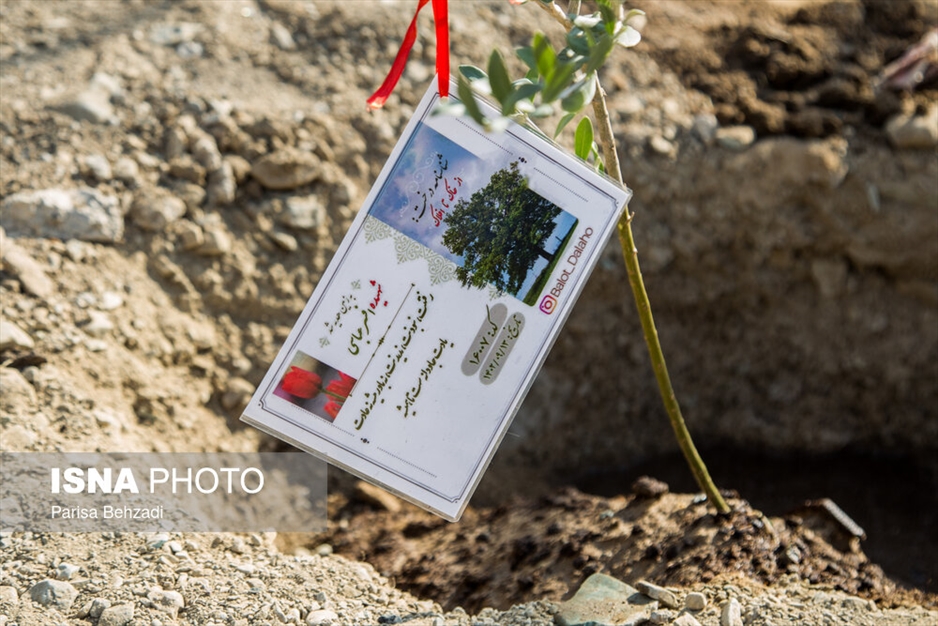 کاشت پنج هزار نهال به یاد کودکان و زنان شهید غزه