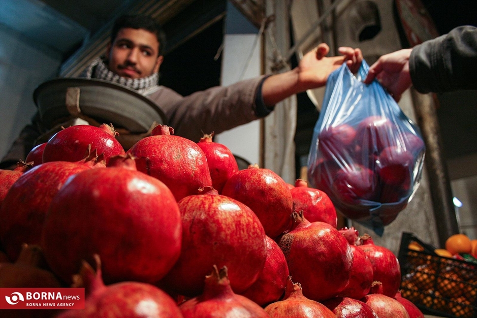 برداشت انار