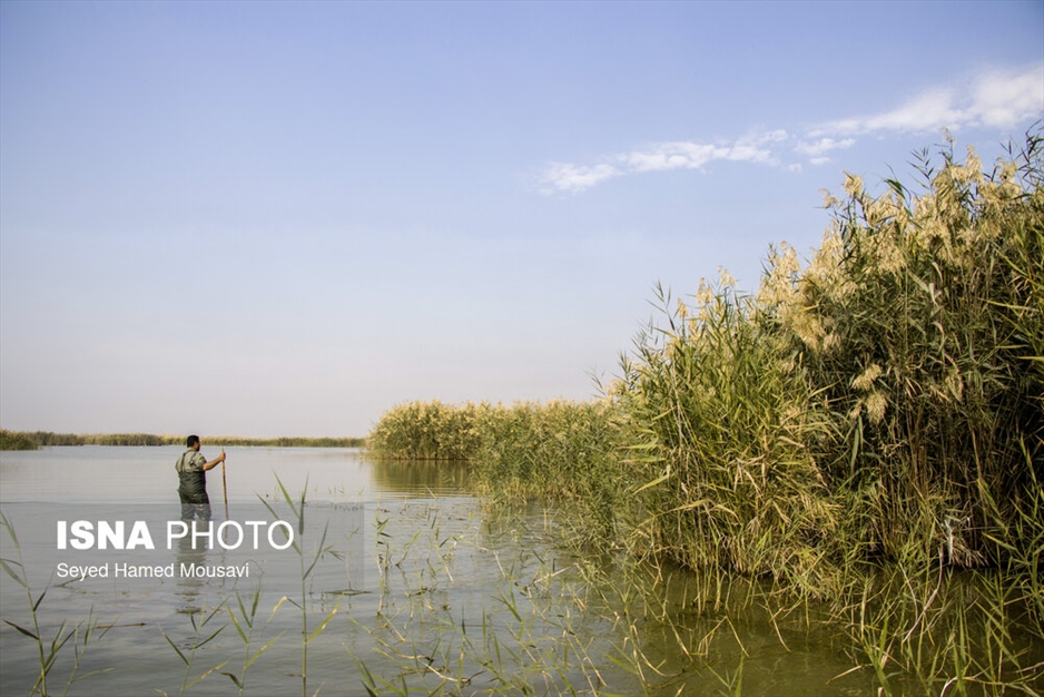 نگهبانان تالاب