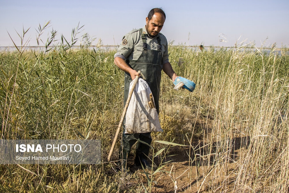 نگهبانان تالاب