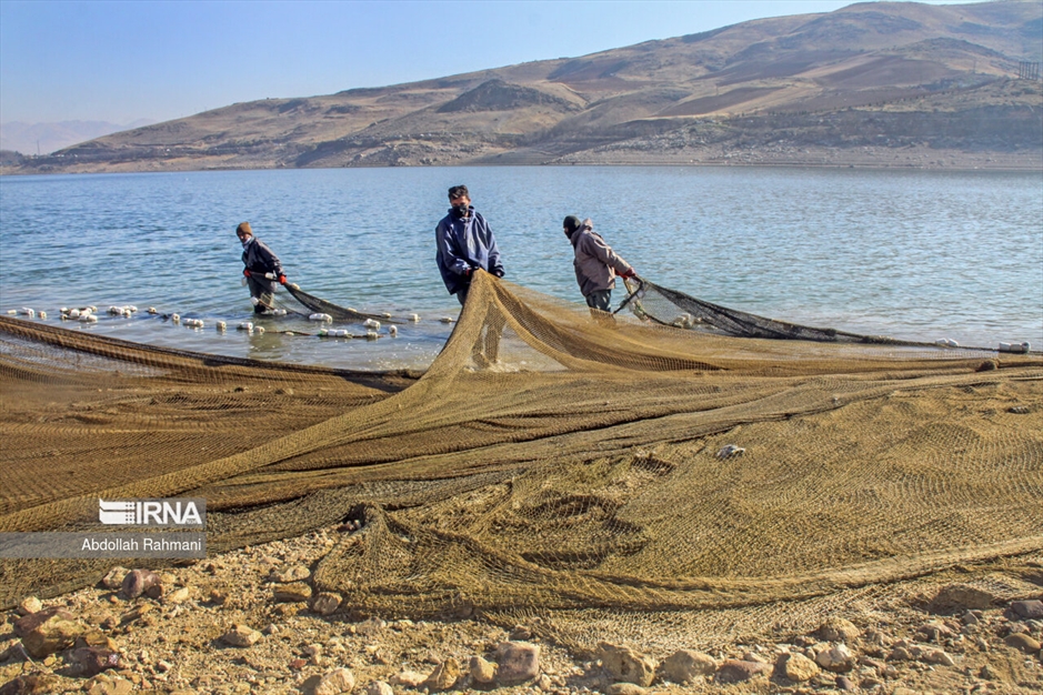  ماهیگیری در سَد
