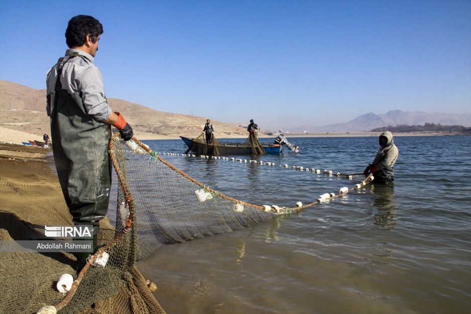  ماهیگیری در سَد