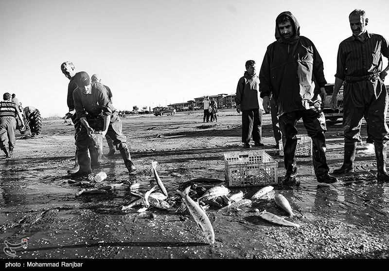 پره گیری صیادان انزلی