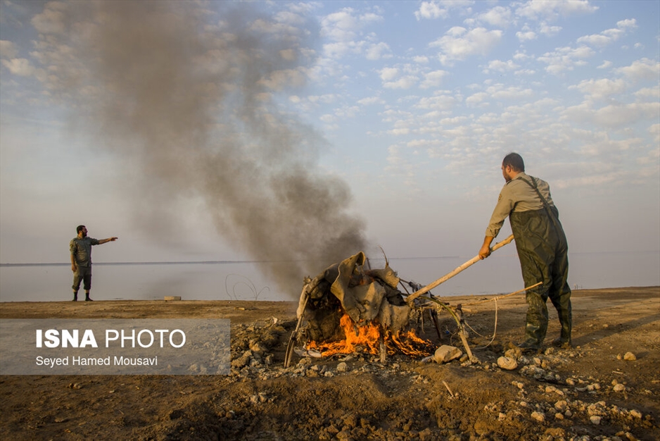 نگهبانان تالاب