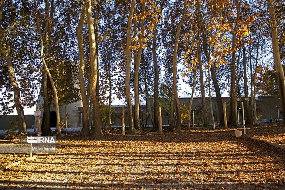 پاییز باغ پهلوان پور