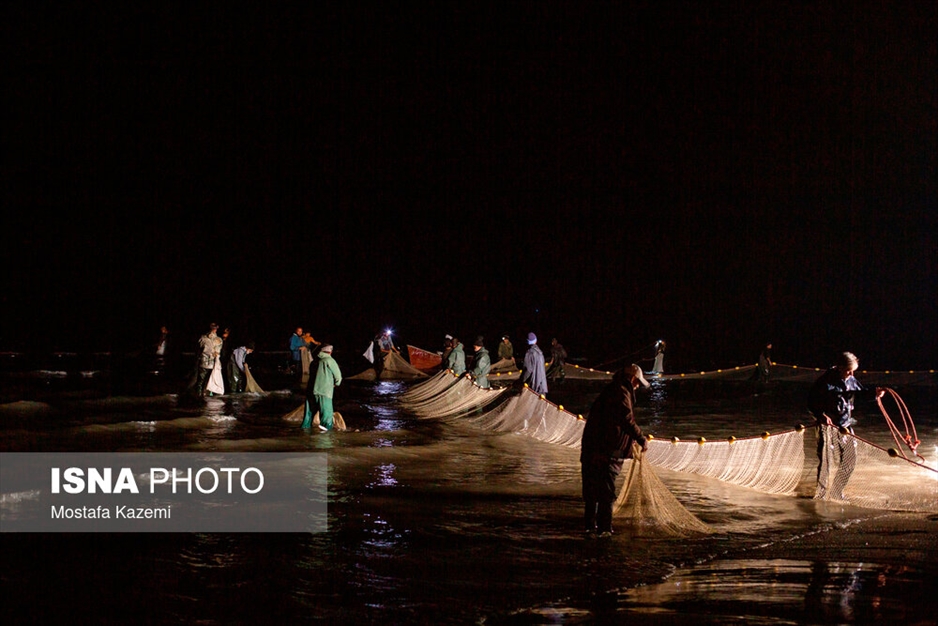 صید شبانه ماهی