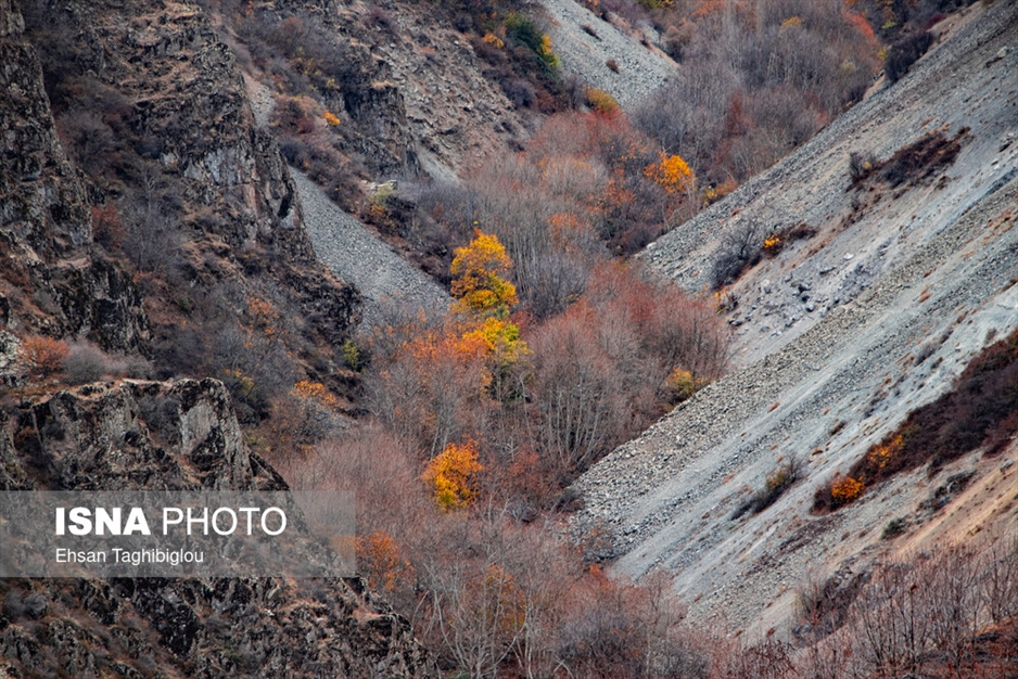 پاییز هزار رنگ در روستای «شیت»