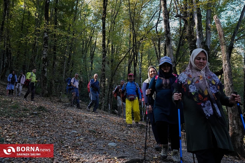 پارک جنگلی ناهارخوران