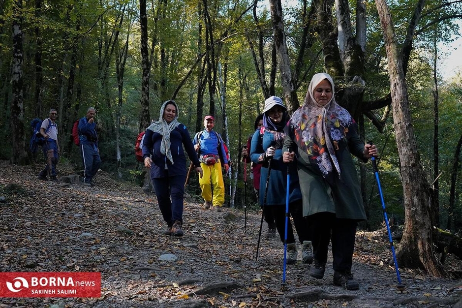 پارک جنگلی ناهارخوران