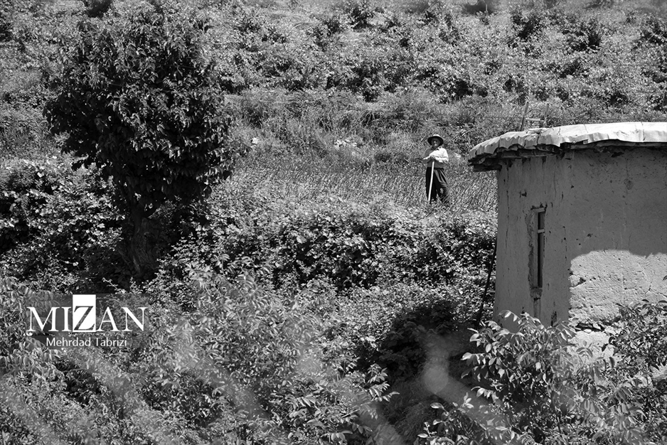 تنهایی؛ انتخابی آگاهانه یا جبر زمانه