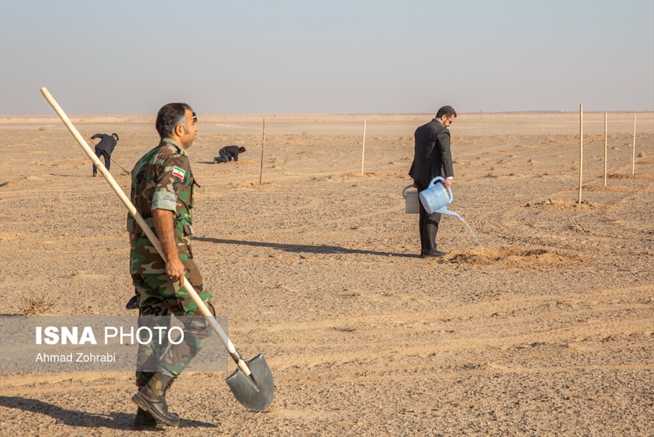 آغاز پویش کاشت یک میلیارد درخت - قم