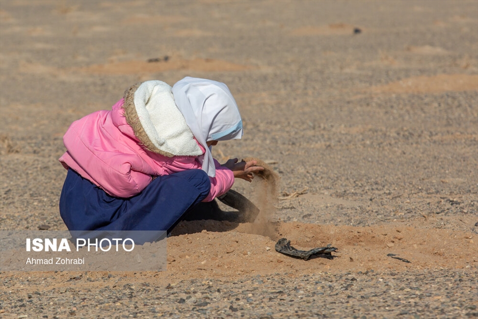 آغاز پویش کاشت یک میلیارد درخت - قم