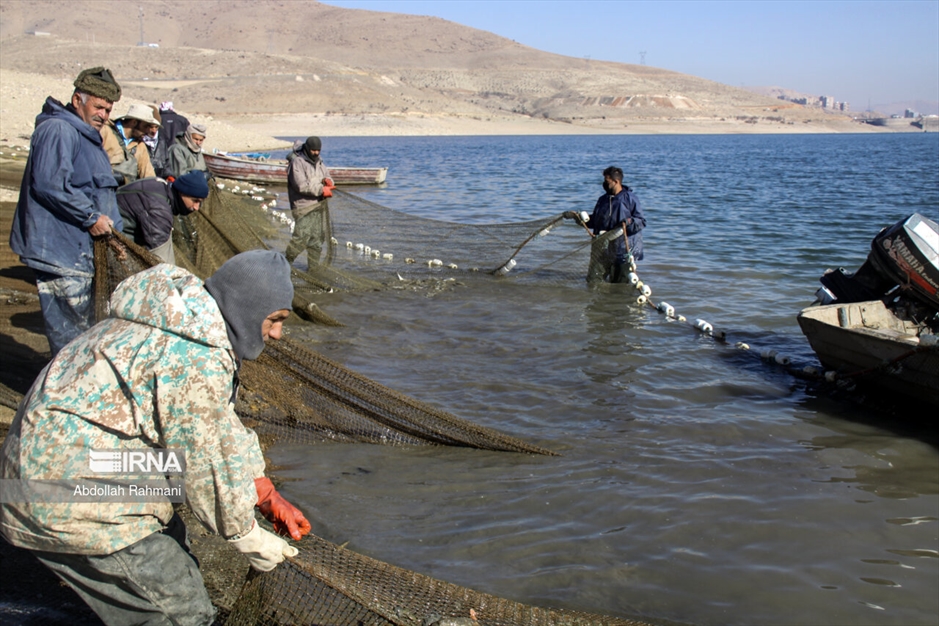  ماهیگیری در سَد