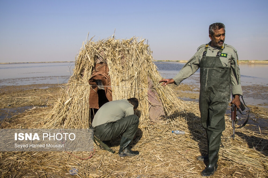 نگهبانان تالاب