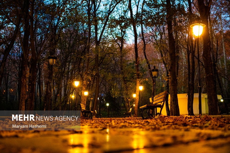 طبیعت پاییزی تهران