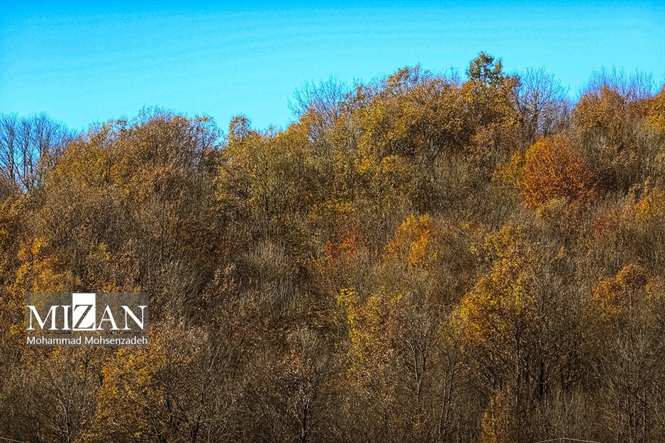 پاییز در جاده عباس‌آباد
