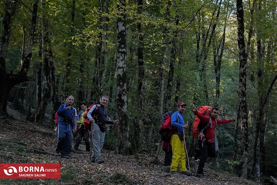 پارک جنگلی ناهارخوران