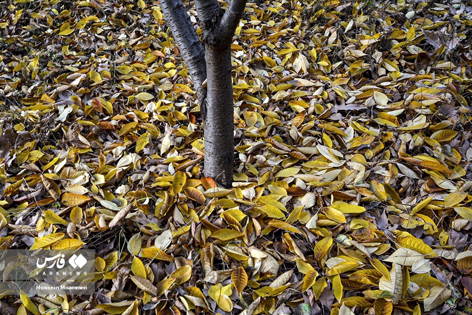 پاییزِ بجنورد