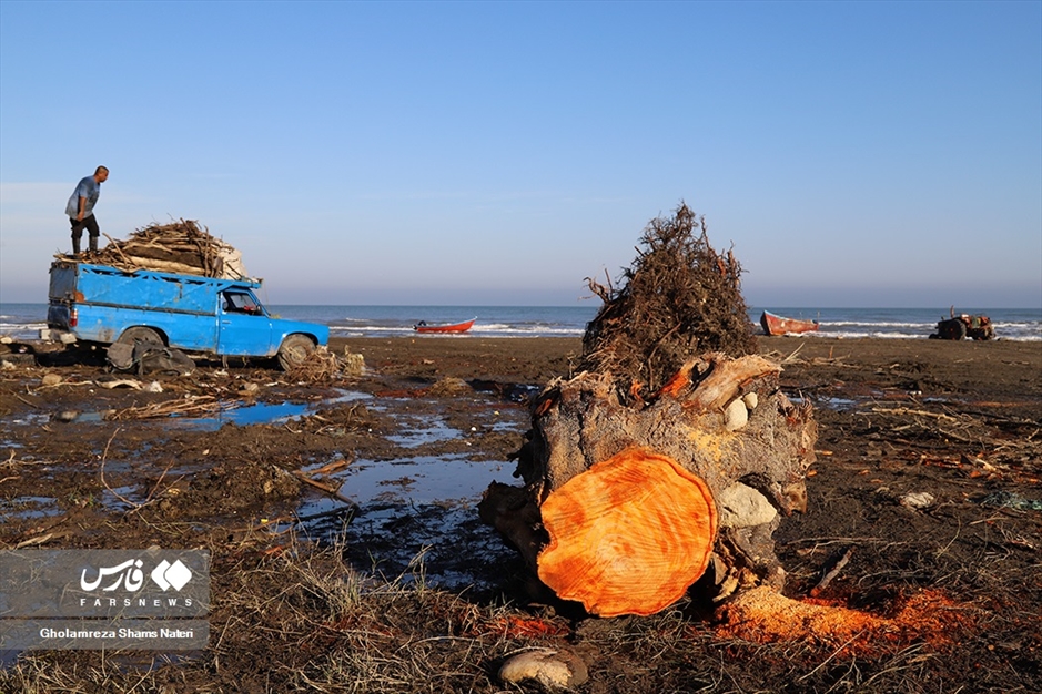 تور صیادان به درخت می خورد!