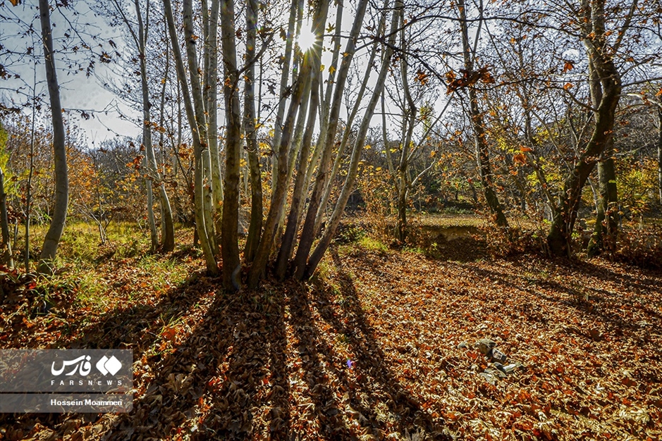 پاییزِ بجنورد